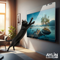 65 İnç 165 Ekran Tv Ekran Koruyucu